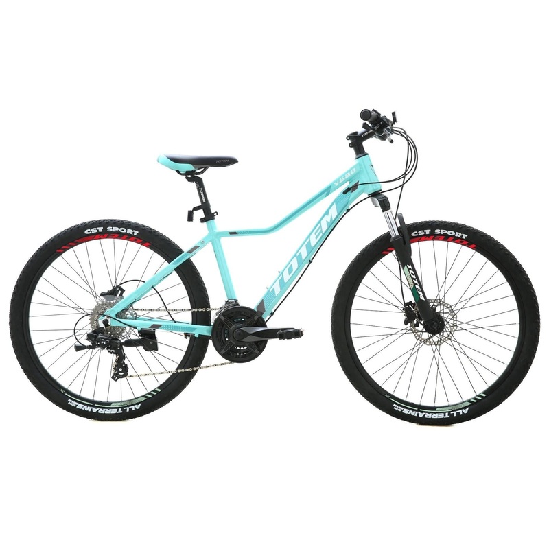 Totem Y680-L-26 Women’s Mountain Bike Green Small