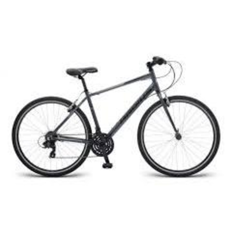 Radius Vista 20 (2018)
