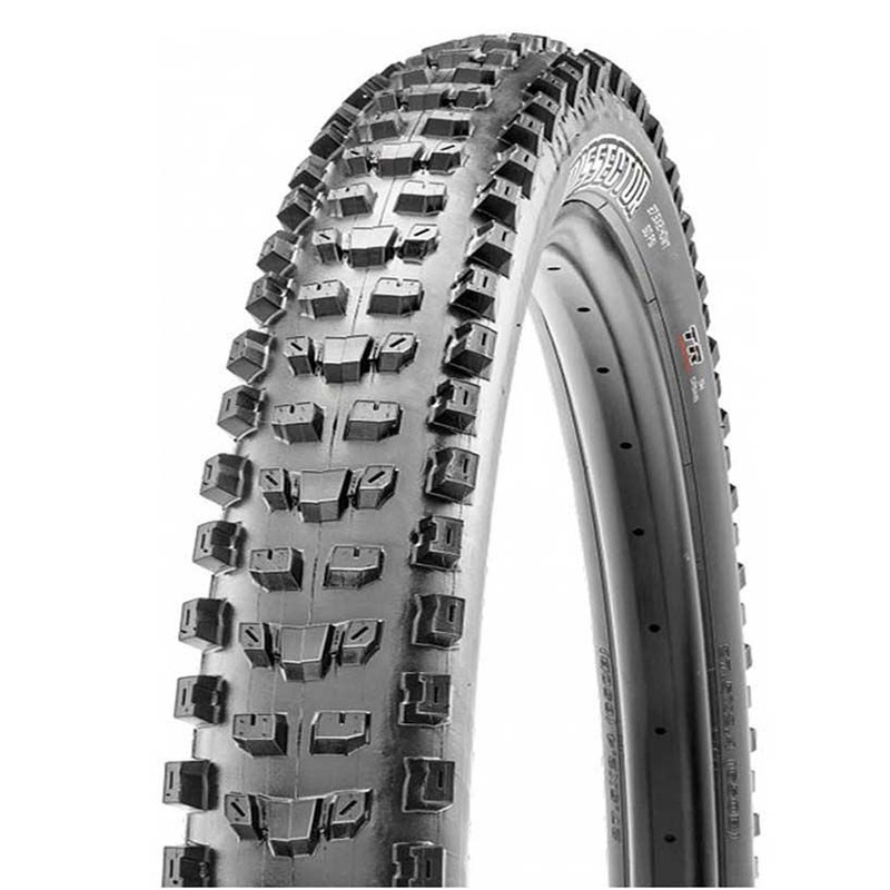 Maxxis Trunting EXO Tubeless Ready 29×2.40