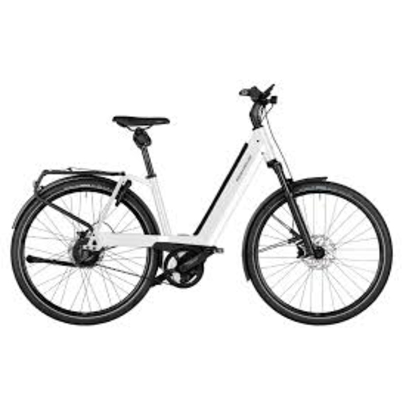 Riese & Muller Nevo4 GT Touring S/43(26″)