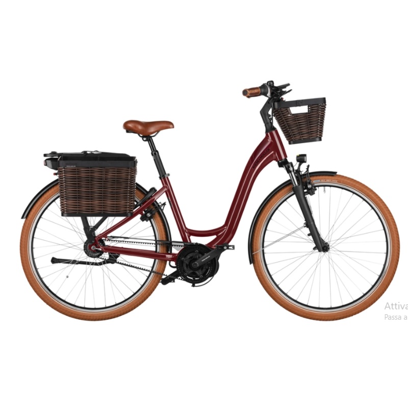 Riese & Muller Swing4 Vario (2025) S/M (46)