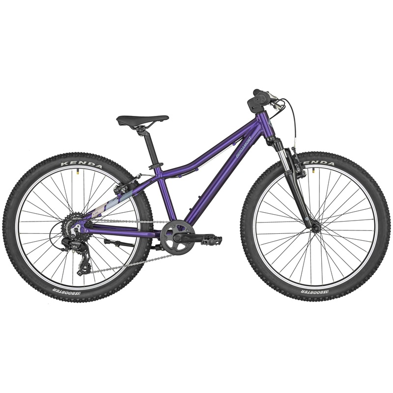 Bergamont Revox 24 “Purple