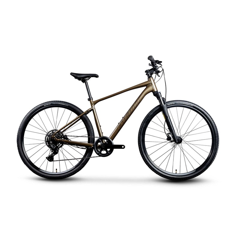 Giant Roam 2 Disc (Pyrite Brown) S