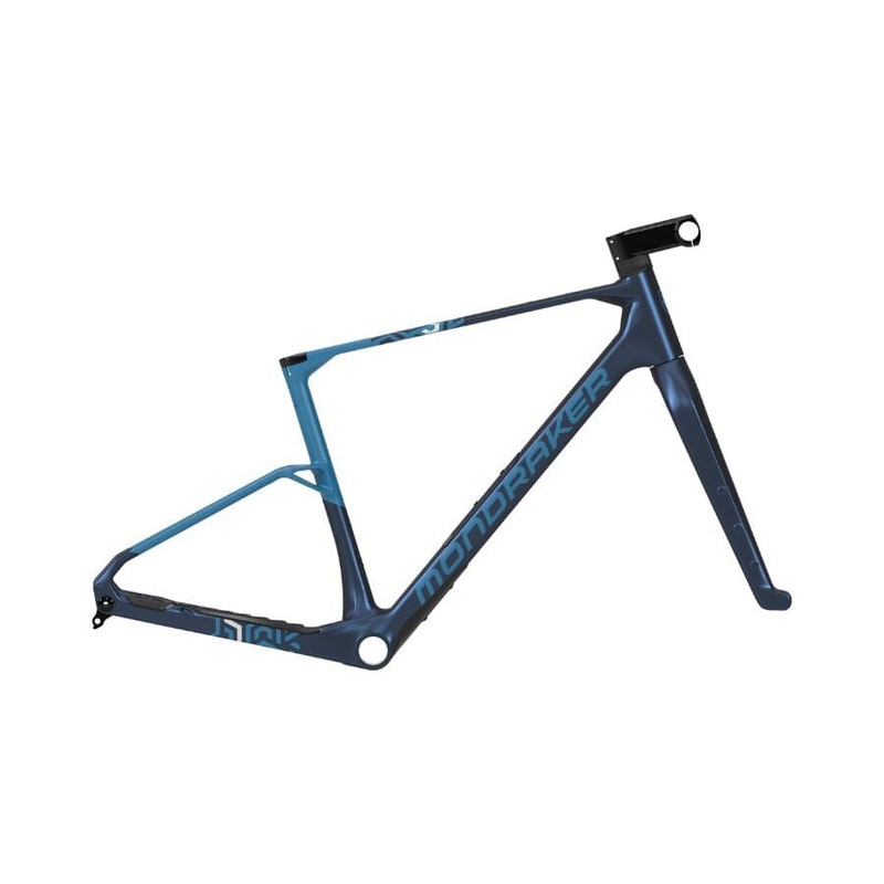 Mondraker Arid Carbon RR SL Frameset S