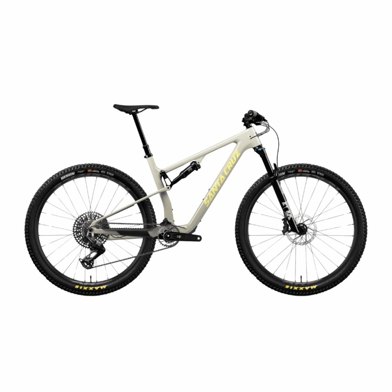 Santa Cruz Blur C 90 TR Gloss Fog S